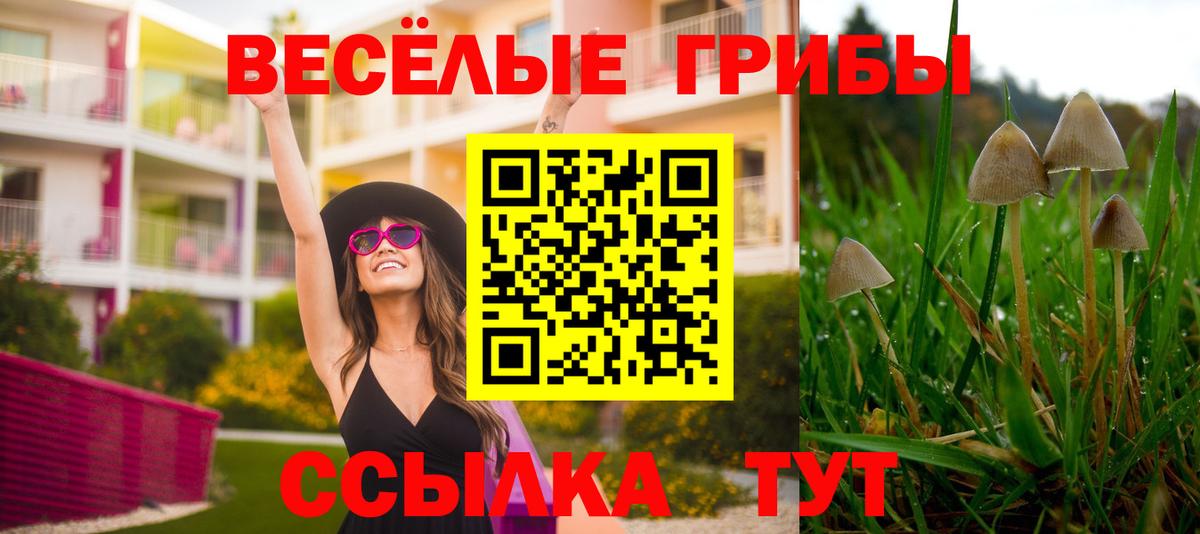 Галлюциногенные грибы Psilocybine cubensis  магазин  наркотиков  Артёмовский  Вход с VPN 